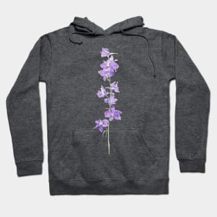 purple larkspurs flowers watercolour Hoodie